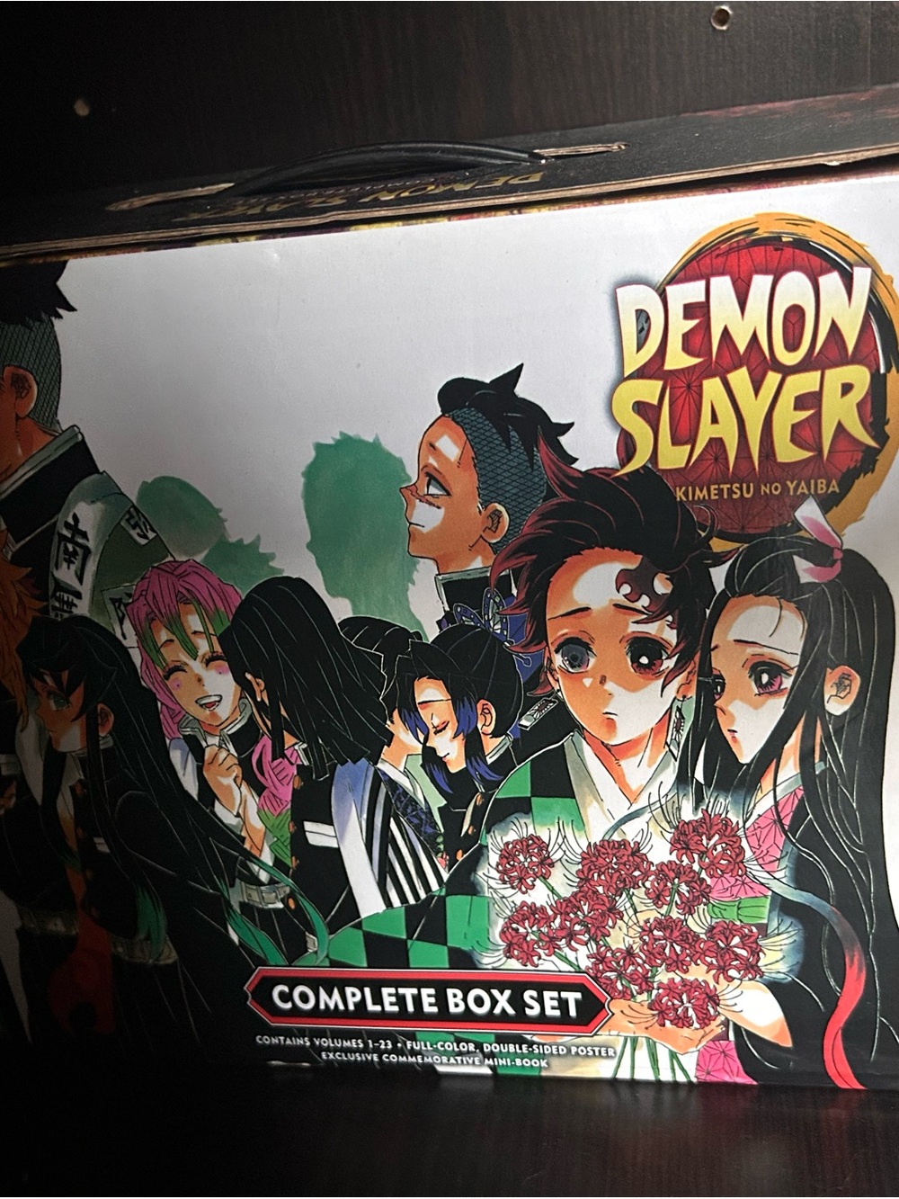 Demon Slayer Complete Box Set - Kids Costume Inspiration